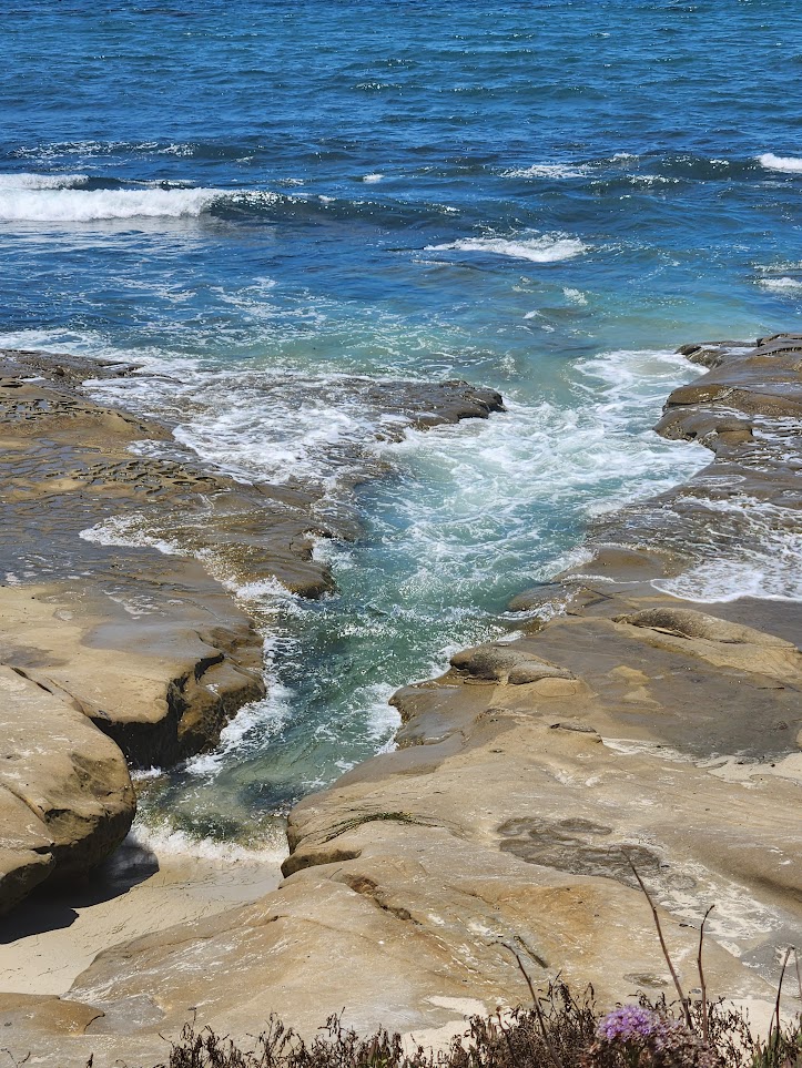 La Jolla tide pools