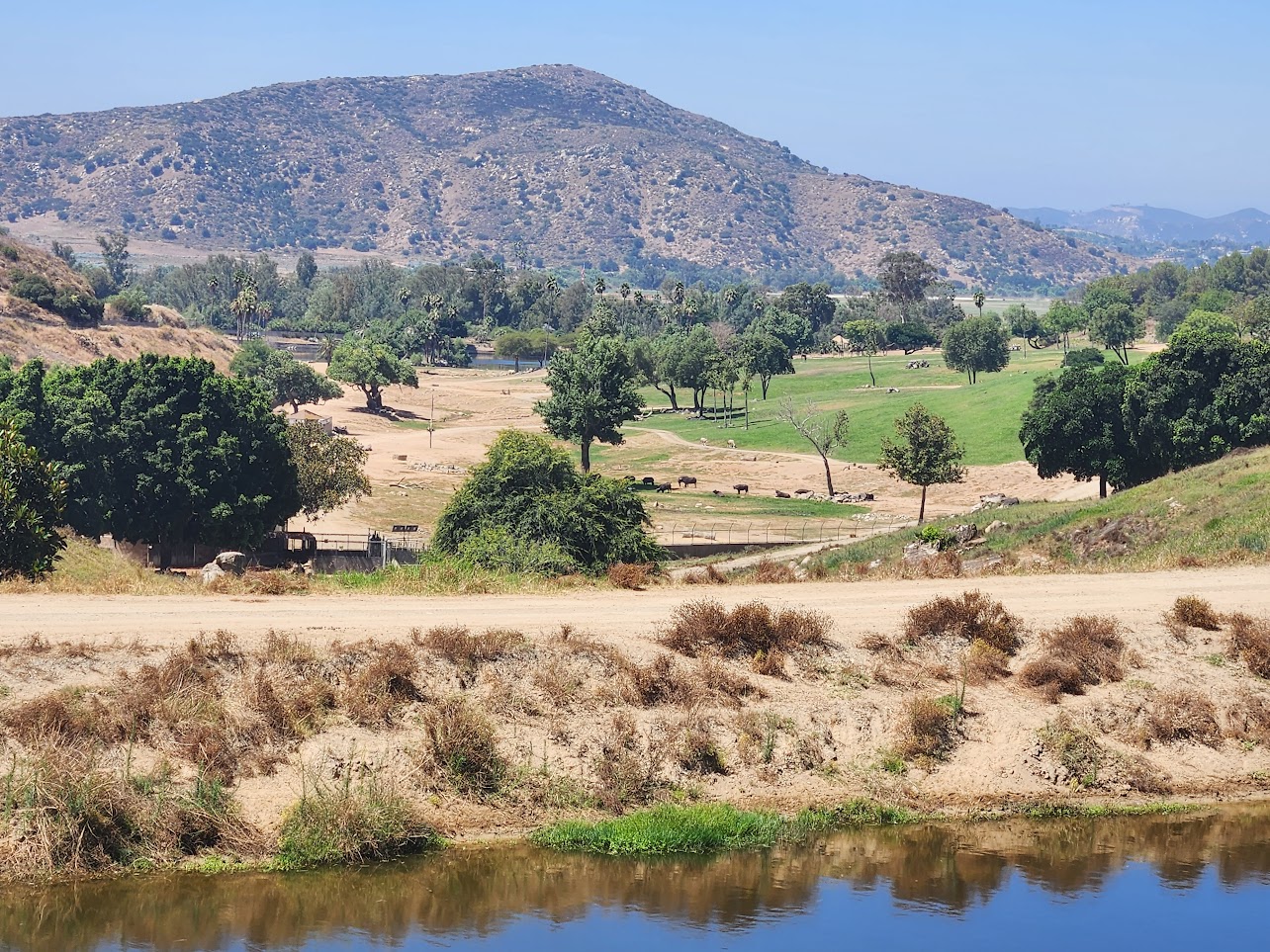 San Diego Safari Park scenery